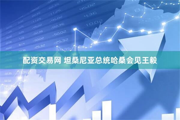 配资交易网 坦桑尼亚总统哈桑会见王毅